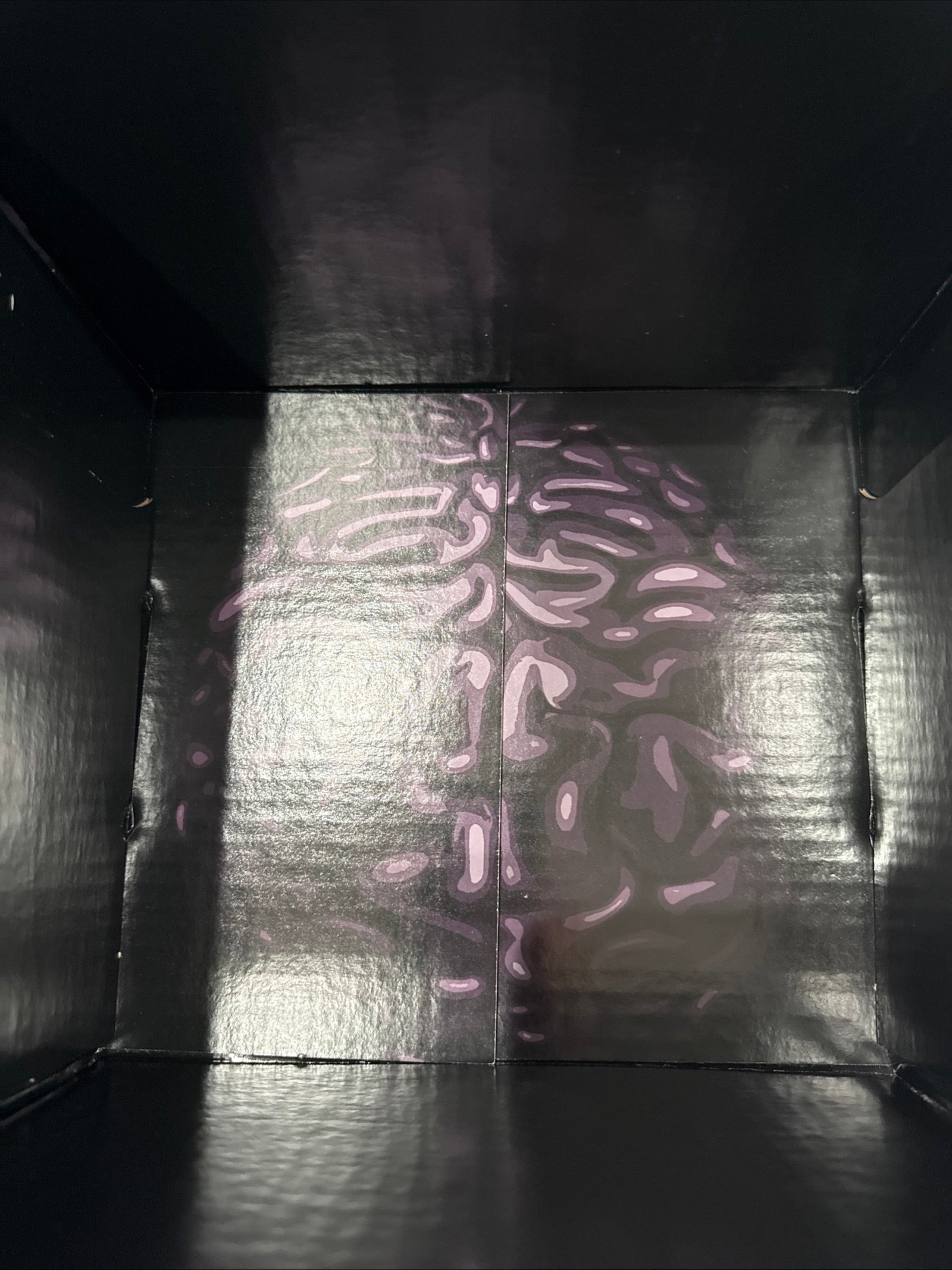 Dandy Hats Halloween Bundle /2000 1681, 1402, 369 Num Hat